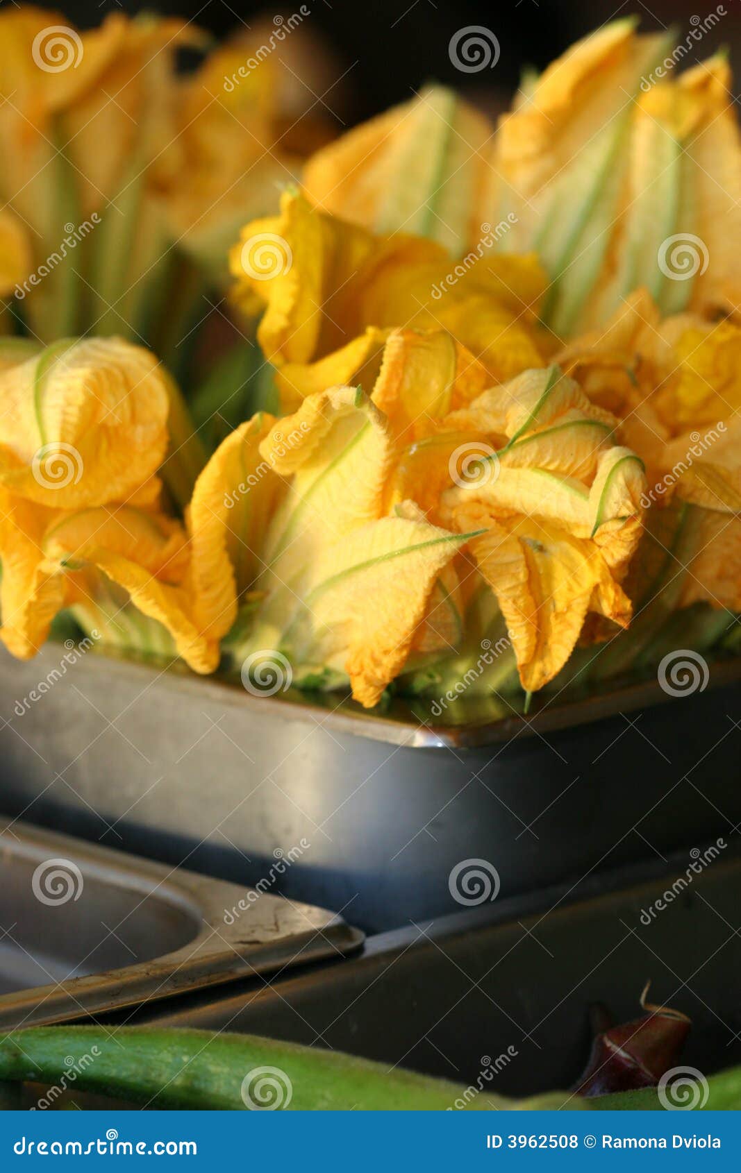 Yellow squash blossoms stock photo. Image of exterior 3962508