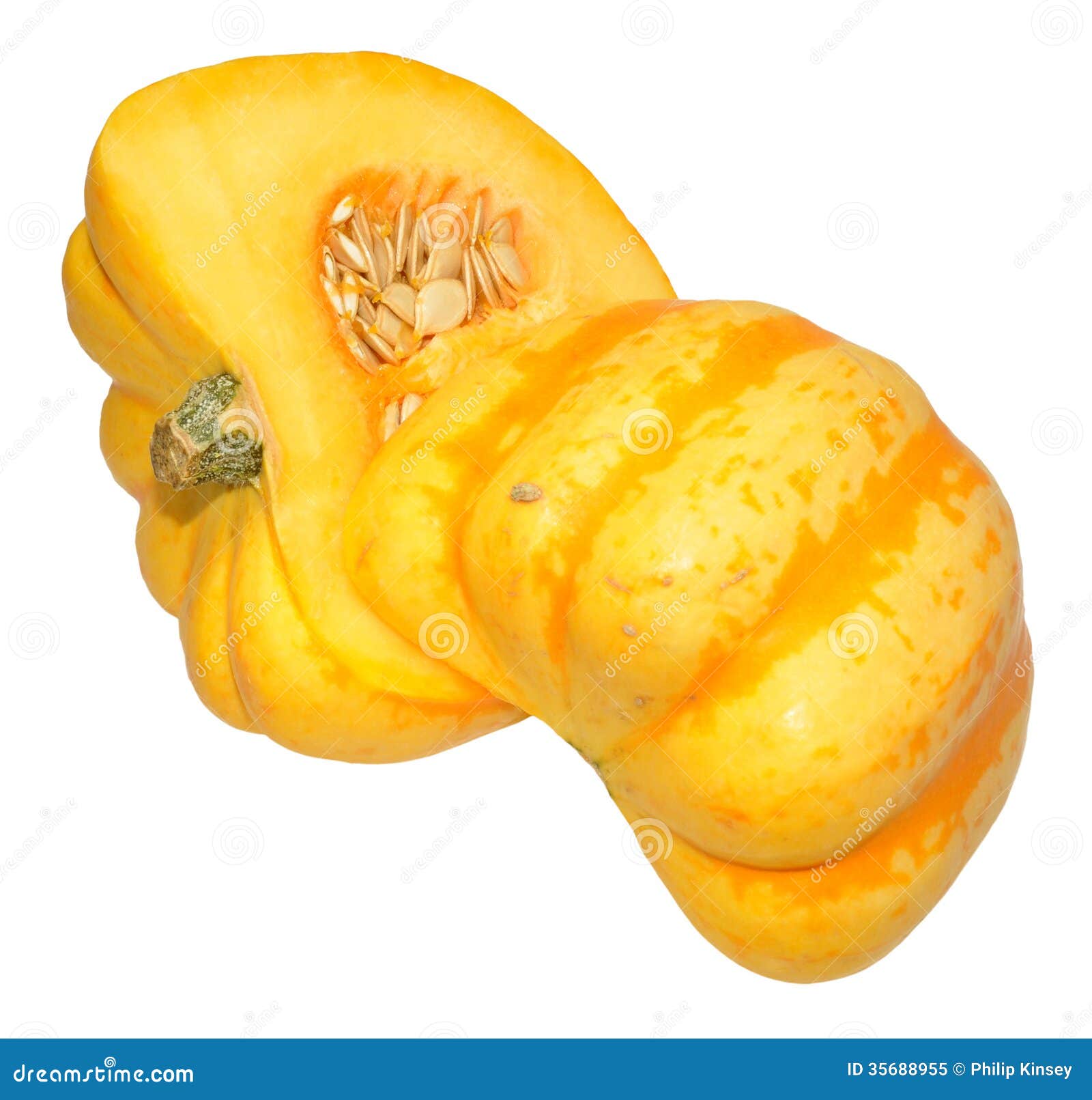 yellow squash clipart - photo #31