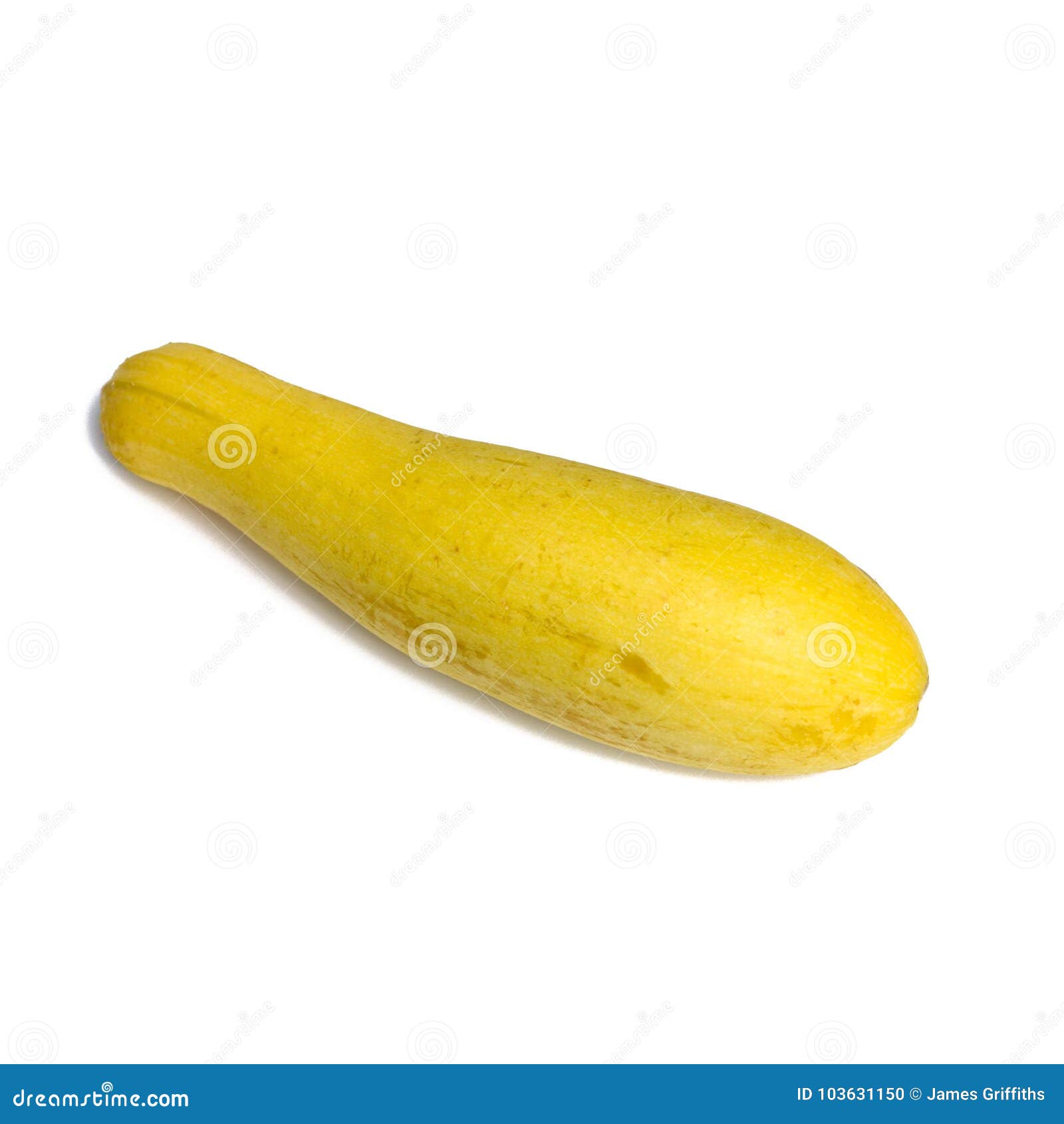 Yellow Squash stock photo. Image of gourd, yellow, healthy 103631150