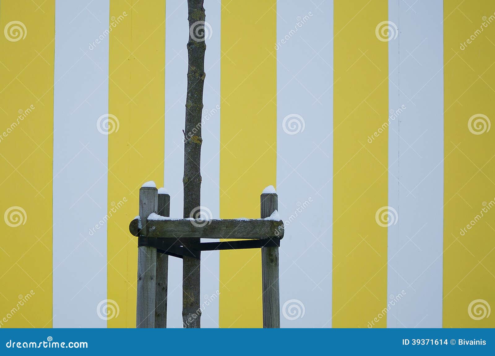 Yellow Striped Wall Texture Stock Photo Image of yellow, closeup