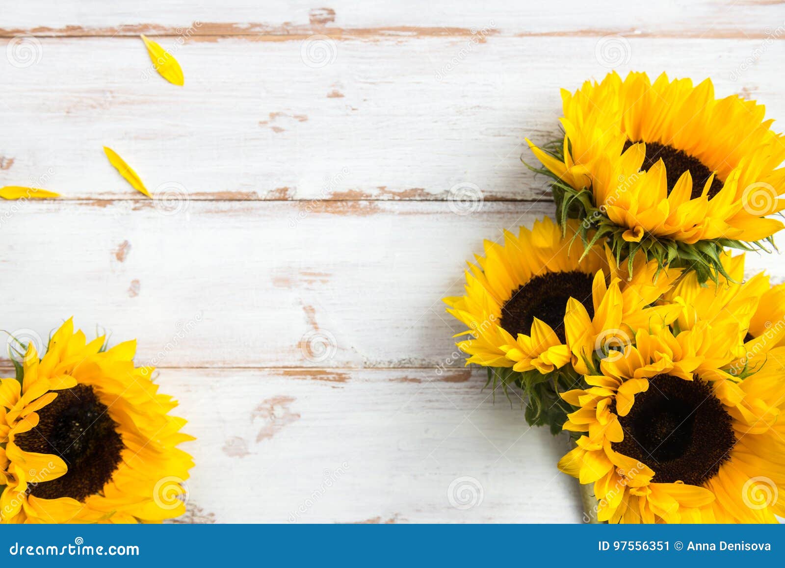 Yellow Sunflower Background Hd