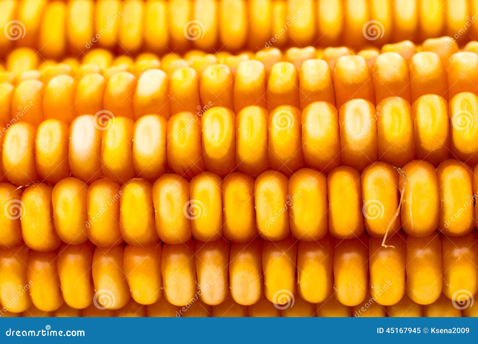 Yellow sweet corn stock image. Image of meals, sweet 45167945
