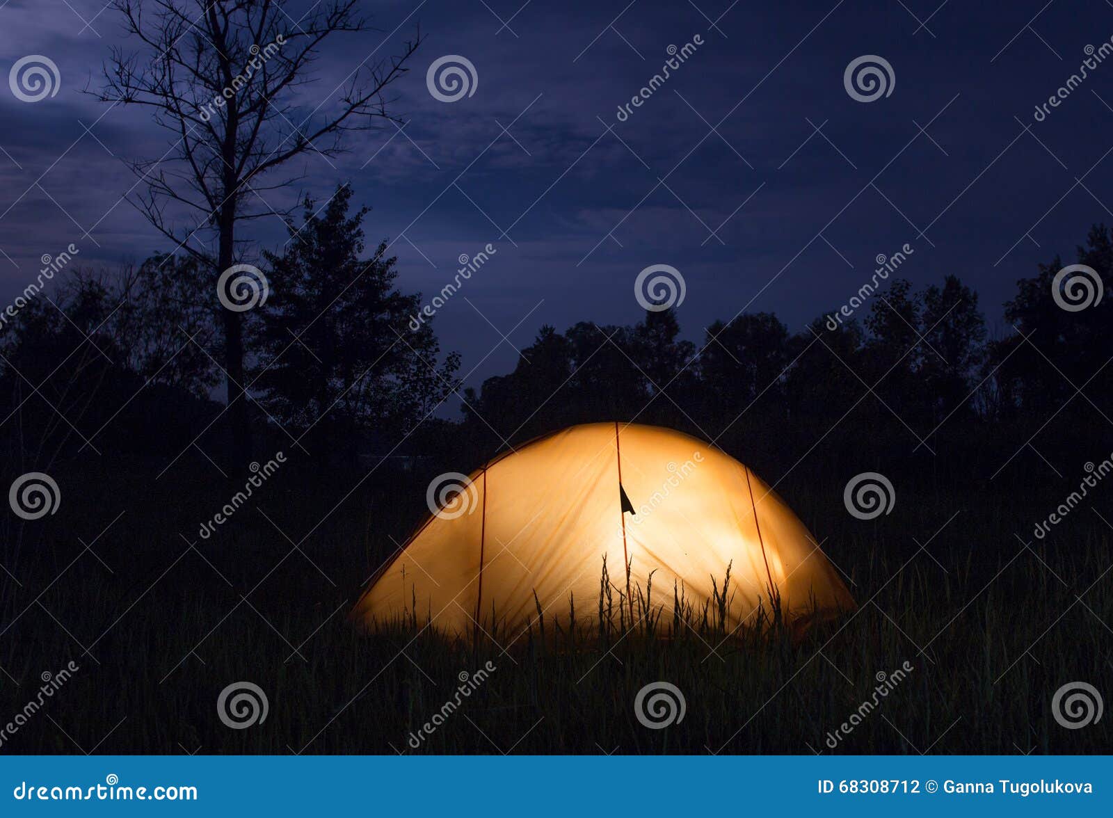 yellow tent lighting at night in wildness