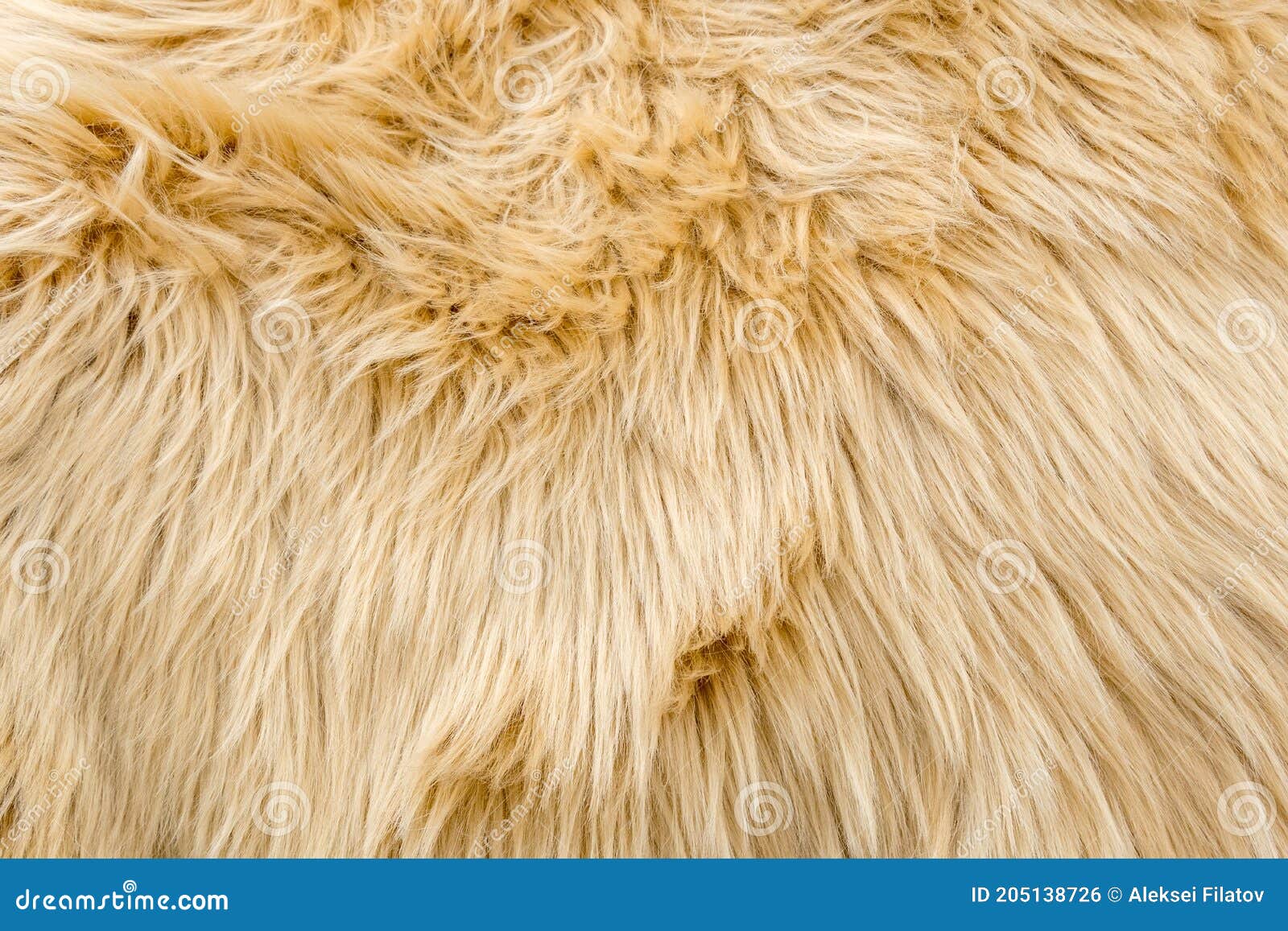 What is P.E.T? A Stylish and Sustainable Polyester Carpet Fiber