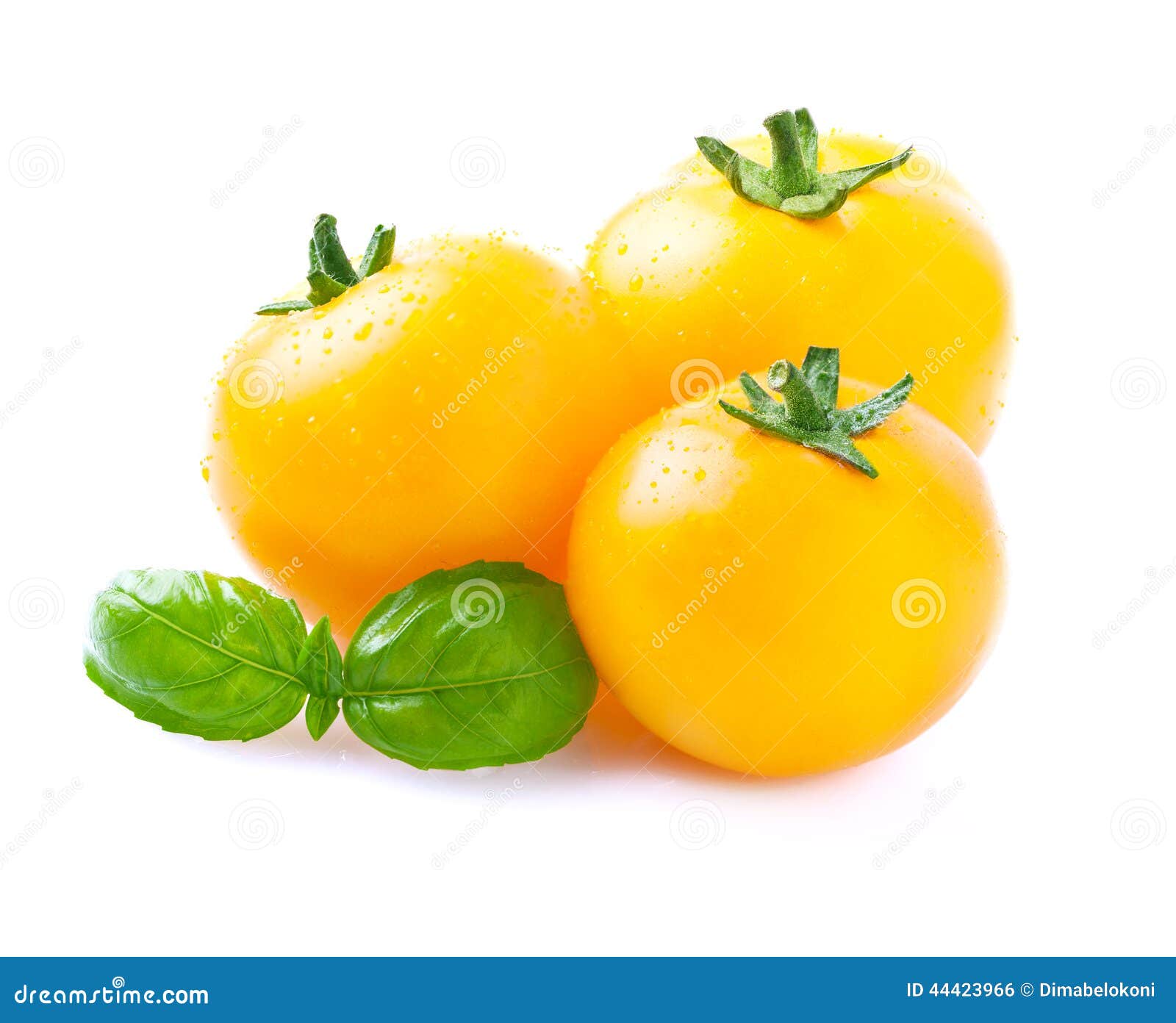 Yellow Tomatoes with Basil. Stock Photo Image of cultivated, bright