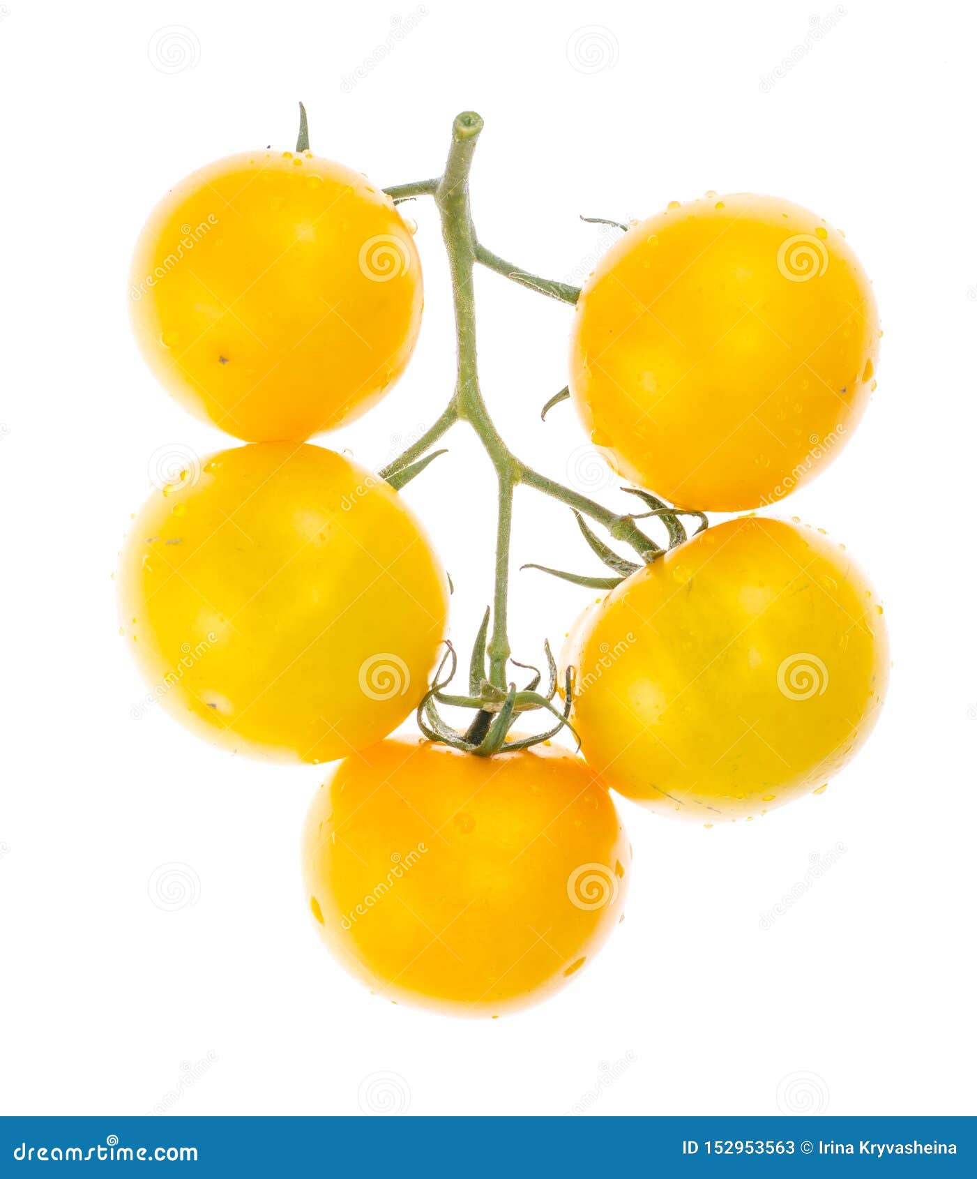 Yellow Tomatoes, Ingredients for Cooking Stock Image Image of