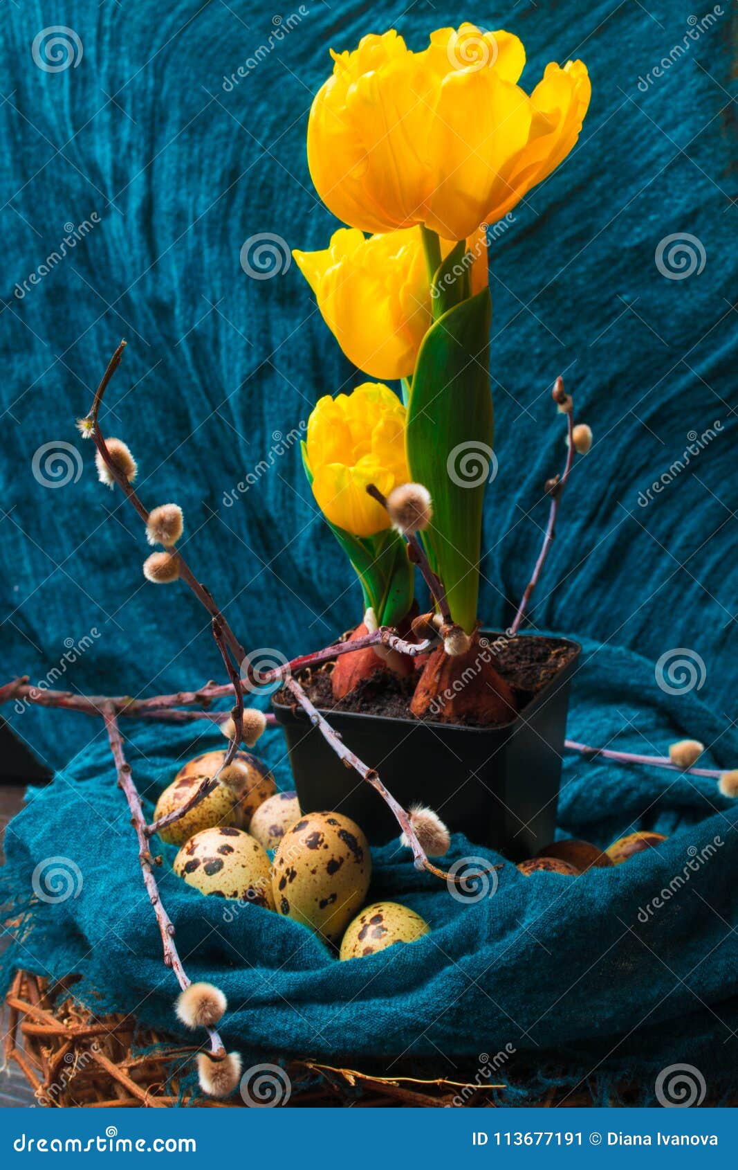 Yellow Tulip with Tubers in the Black Pot, Willow and Cotton Fabric ...