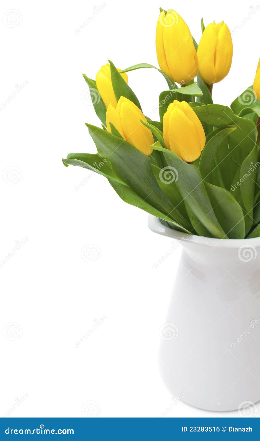 Yellow tulips in vase stock photo. Image of gift, march 23283516