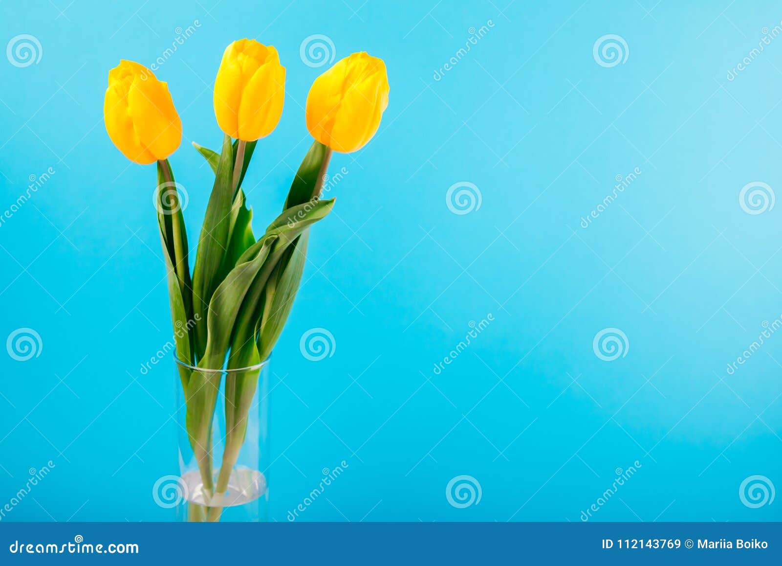 Yellow Tulips in Vase on Blue Background Stock Image - Image of bouquet ...