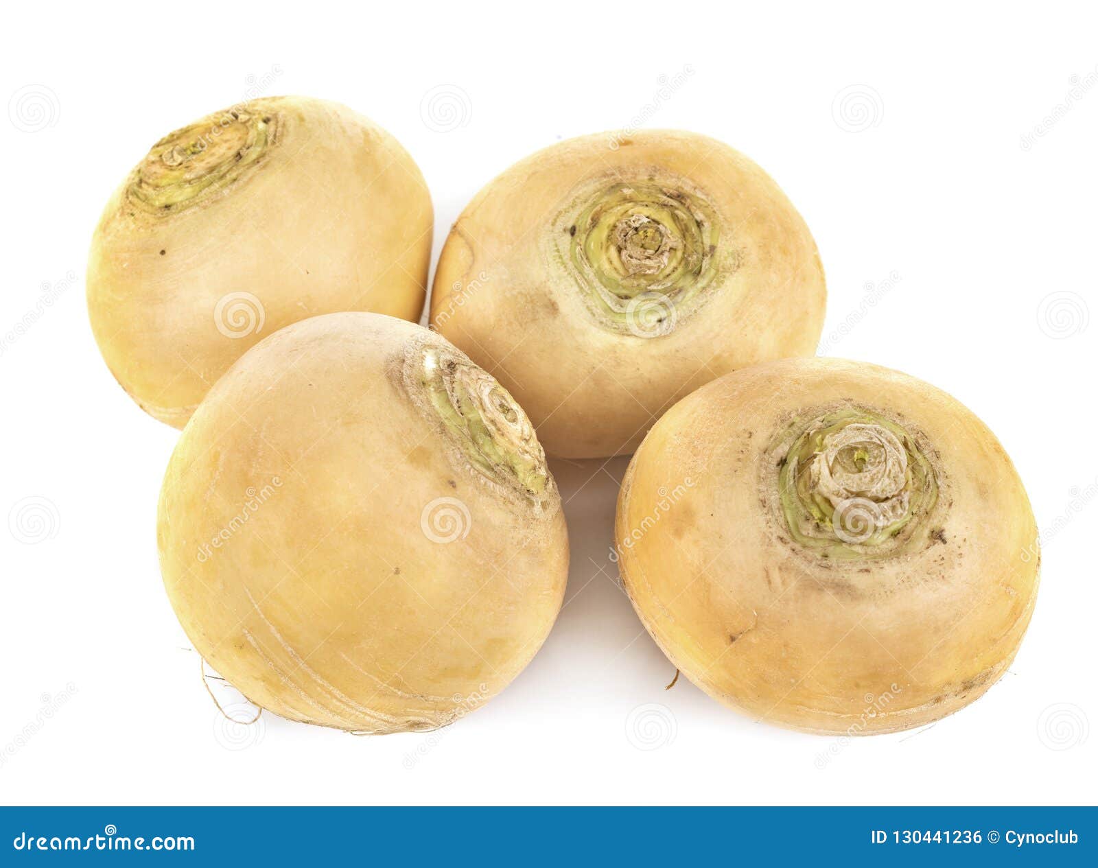 Yellow turnip in studio stock photo. Image of vegetable 130441236