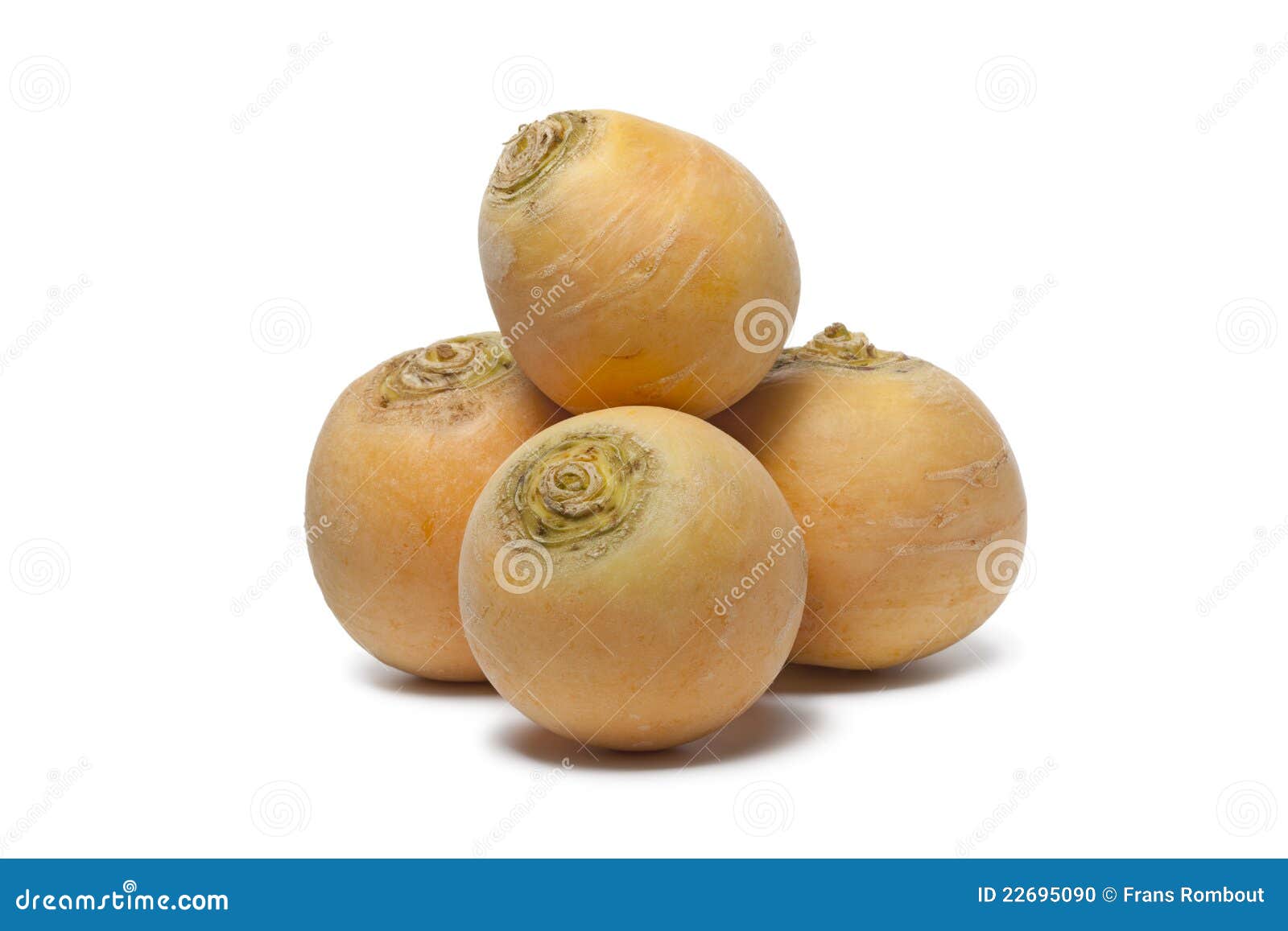 Yellow turnips stock photo. Image of fresh, food, studio 22695090