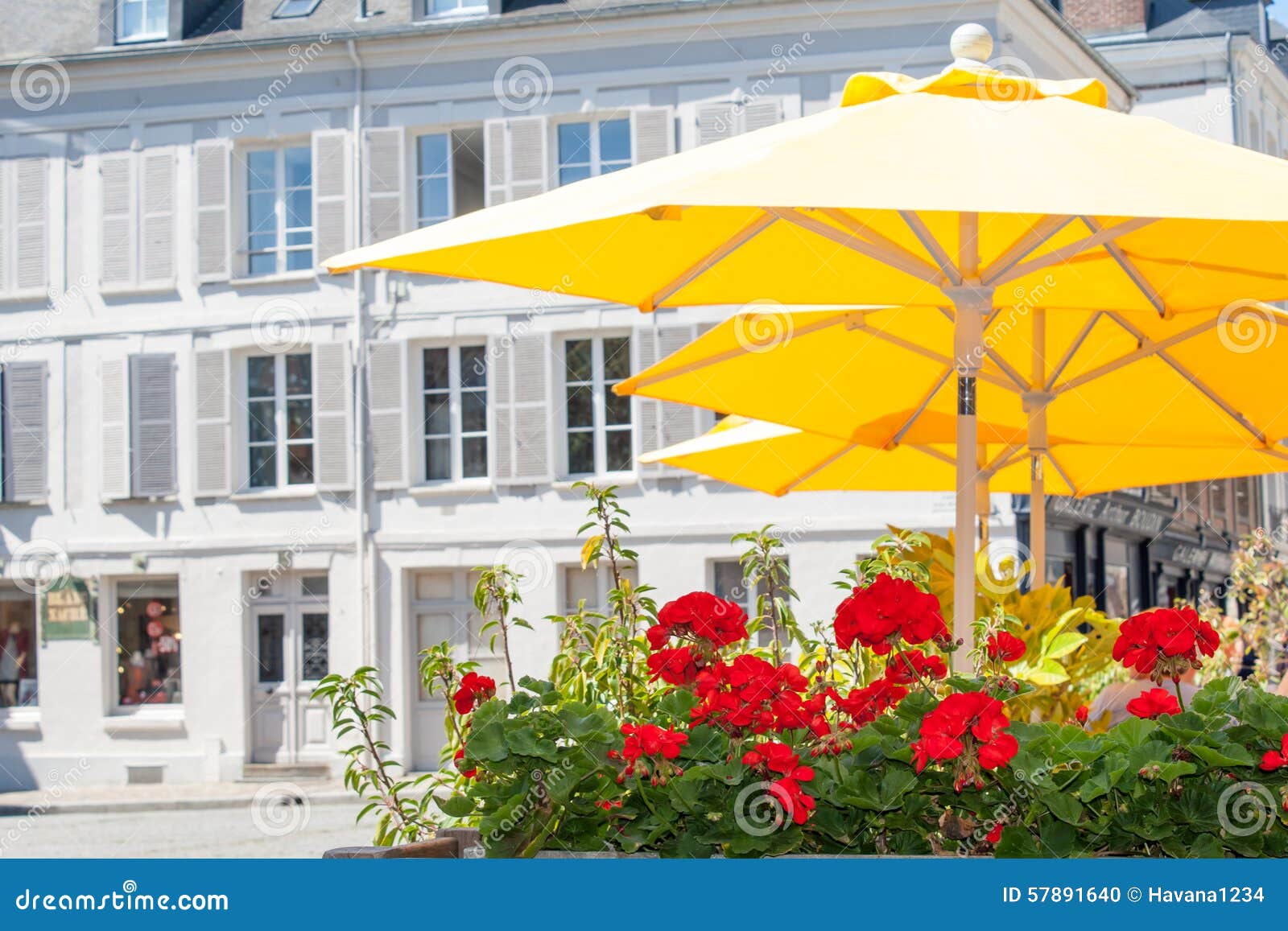 Yellow Umbrellas on a Patio with Red Flowers. Stock Photo Image of color, poolside 57891640