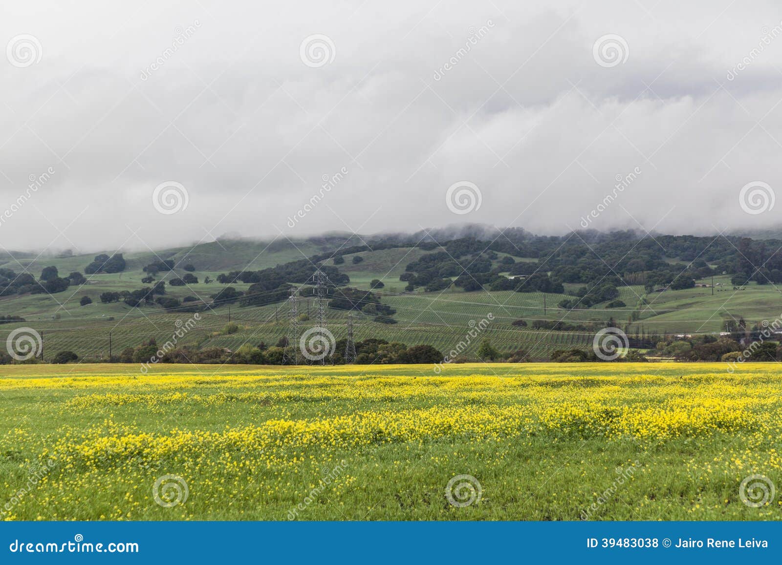 The Yellow Valley II stock photo. Image of california 39483038