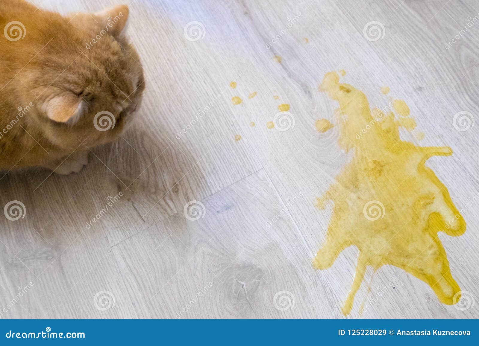 Yellow vomit stock image. Image of diarrhea, harmful 125228029
