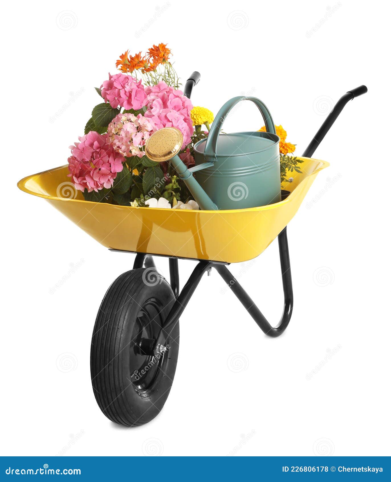 Yellow Wheelbarrow with Flowers and Gardening Tools Isolated on White