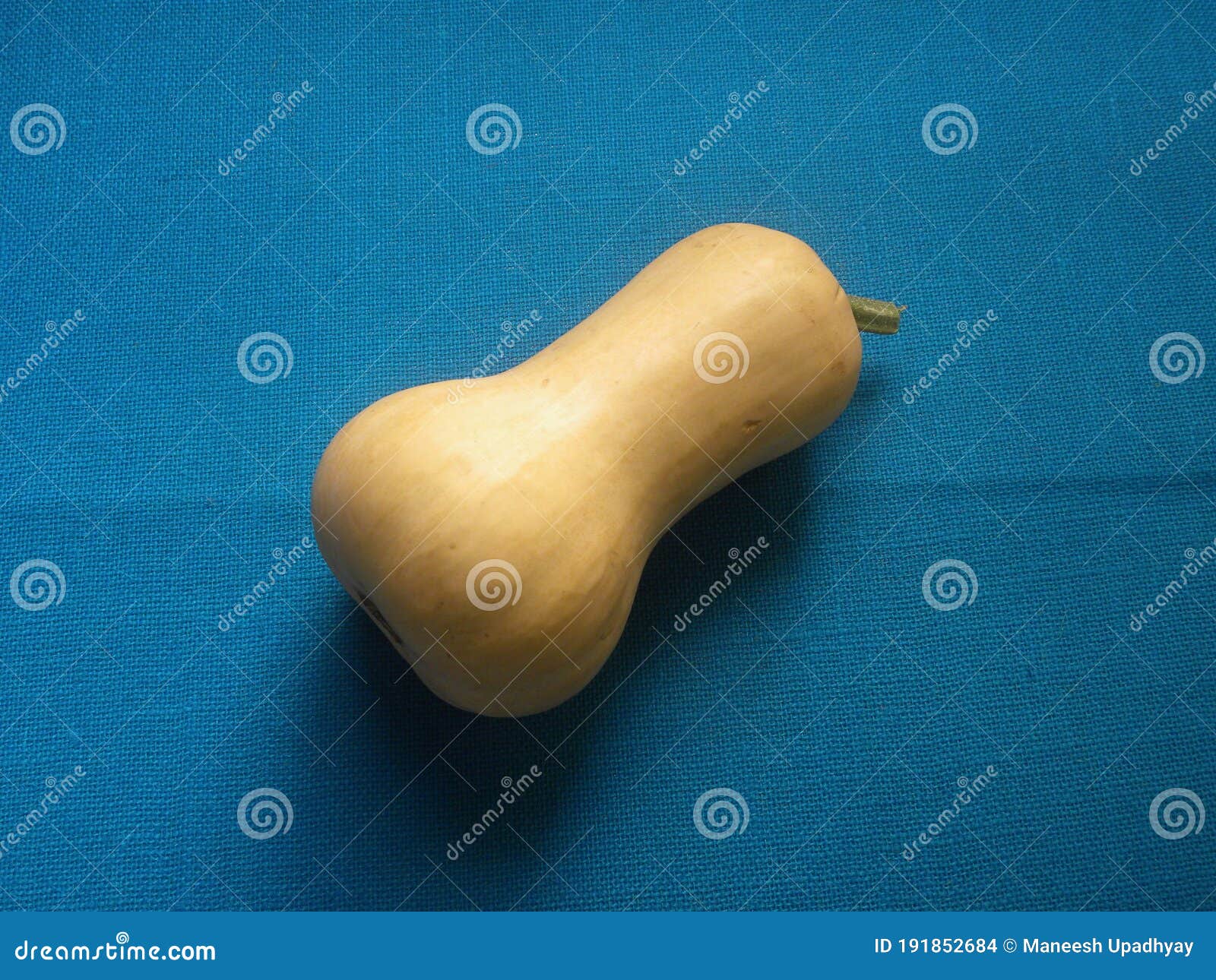 Yellow Whole Butternut Squash Stock Photo Image of single, health