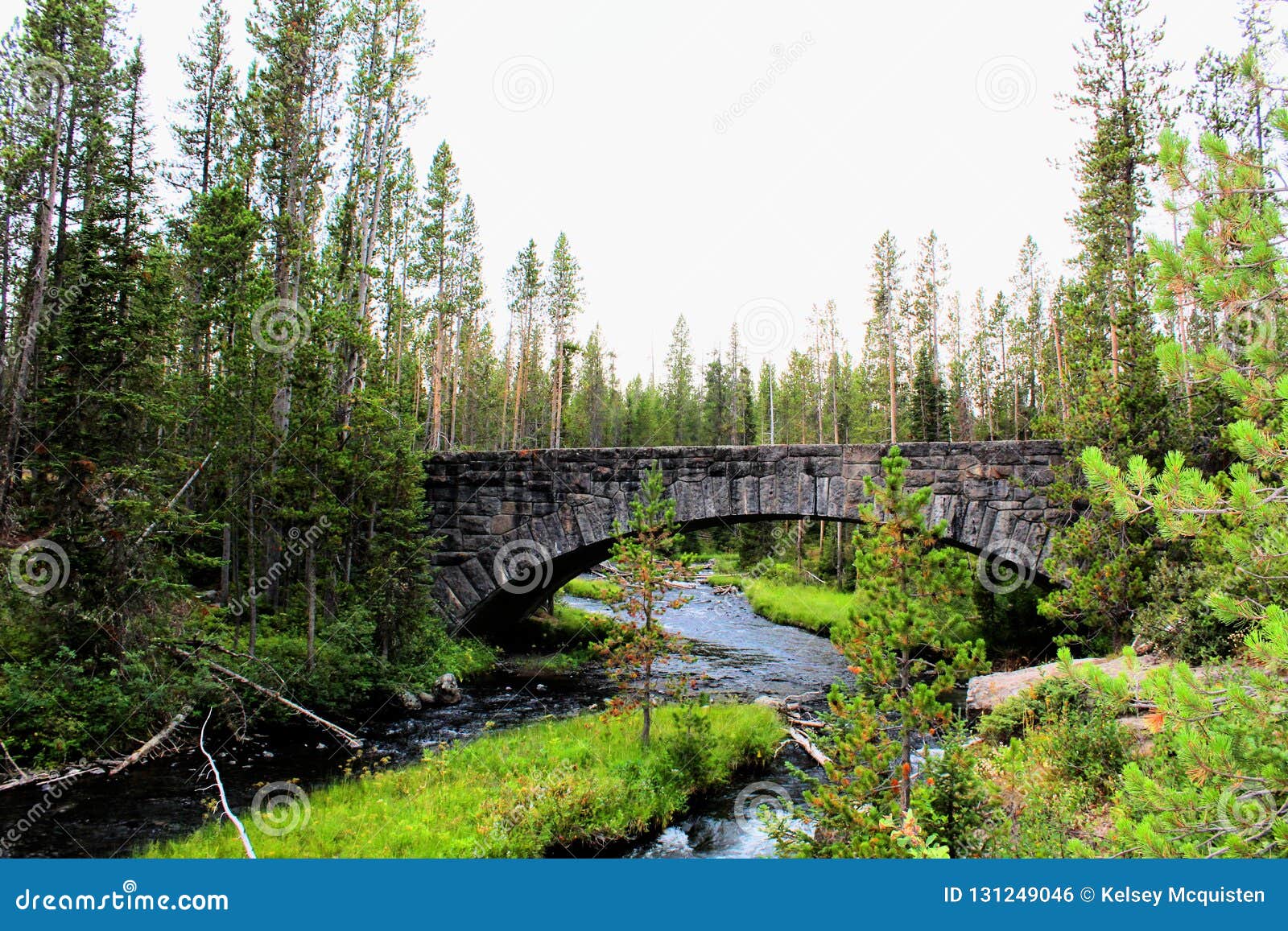 yellowstone national park beautiful bridge with rocks and moss and woodlands gorgeous colors