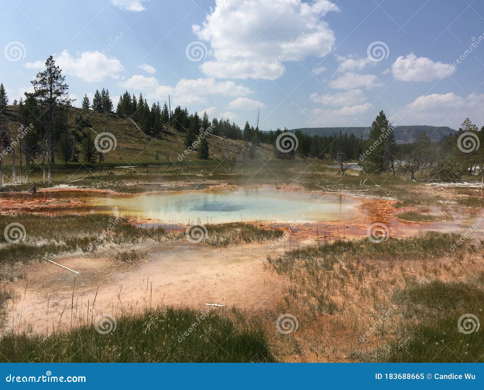 Yellowstone weather in august