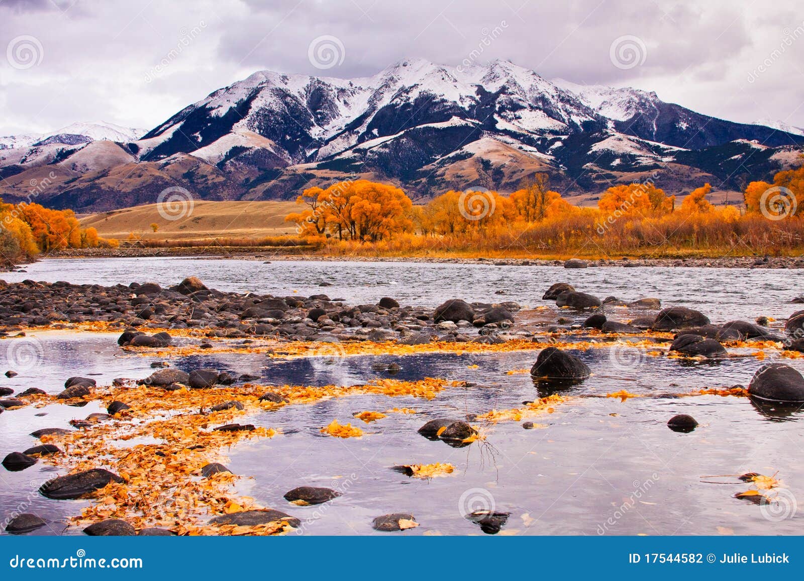 Yellowstone River & Absaroka Mountains Stock Photo Image of montana