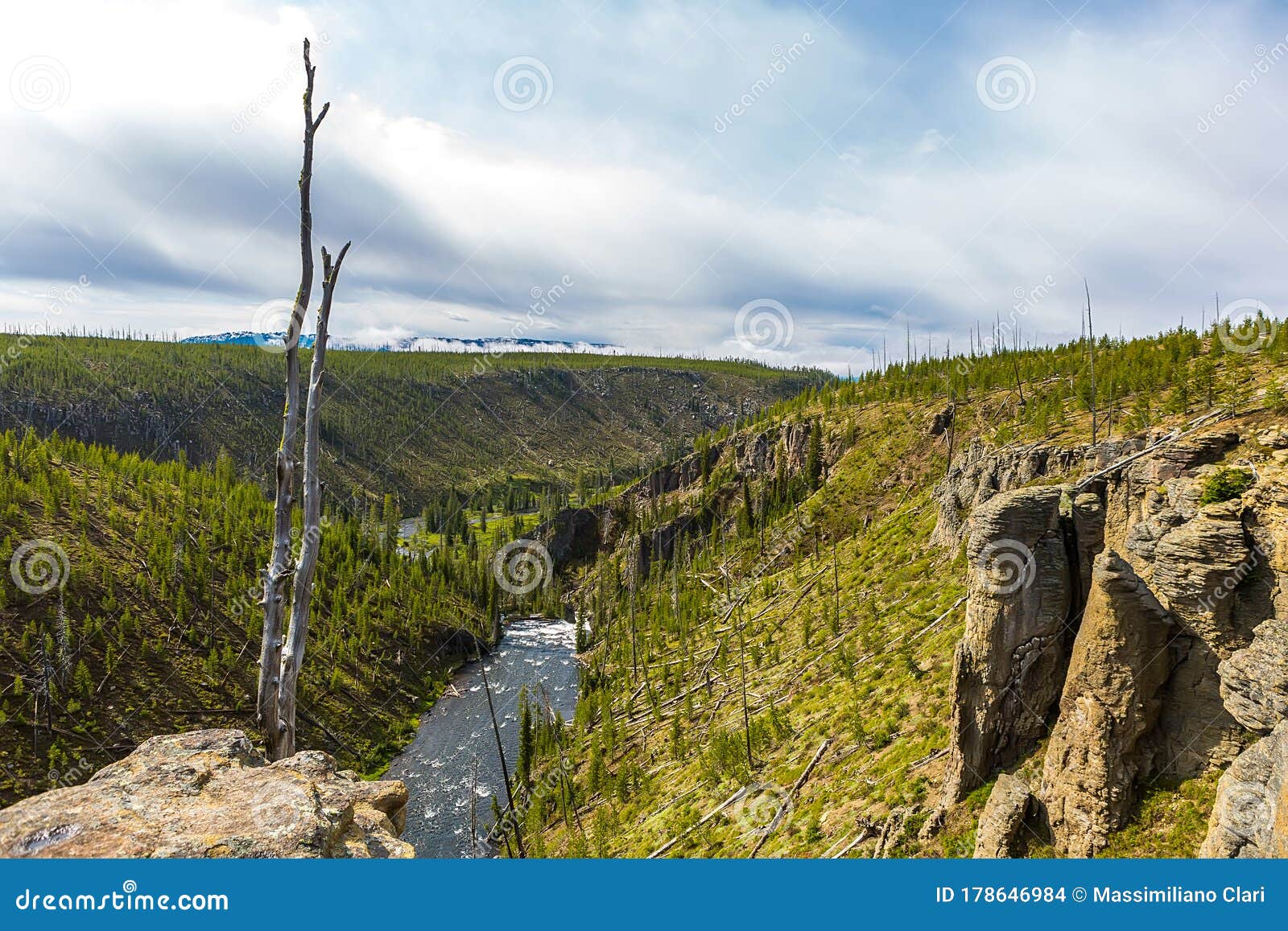 Yellowstone River Yellowstone Plateau Yellowstone Scenery Photo