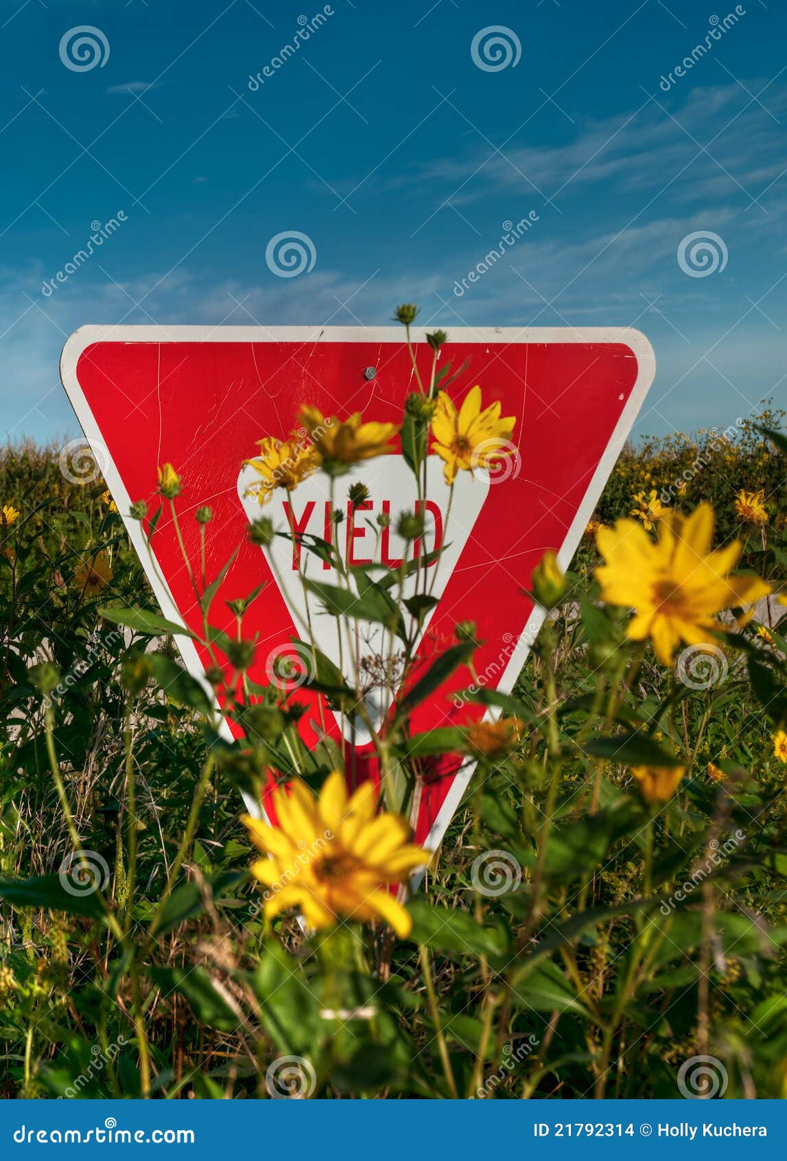 yield sign in flowers