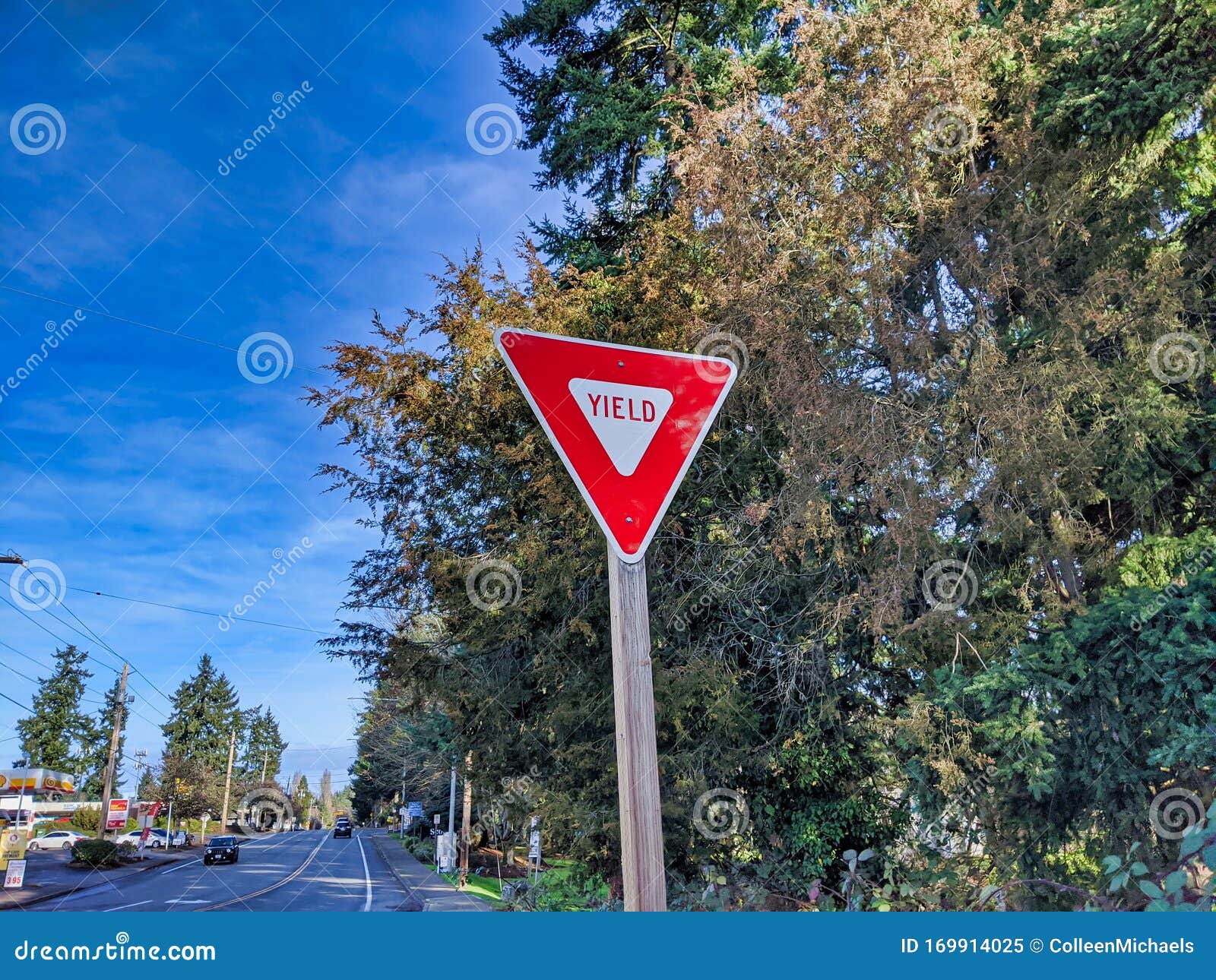 Yield Sign Next To A Road After A Lane Merge Stock Image Image Of Rule Sign Yield Sign Next To A Road After A Lane Merge Stock Image Image Of Rule Sign