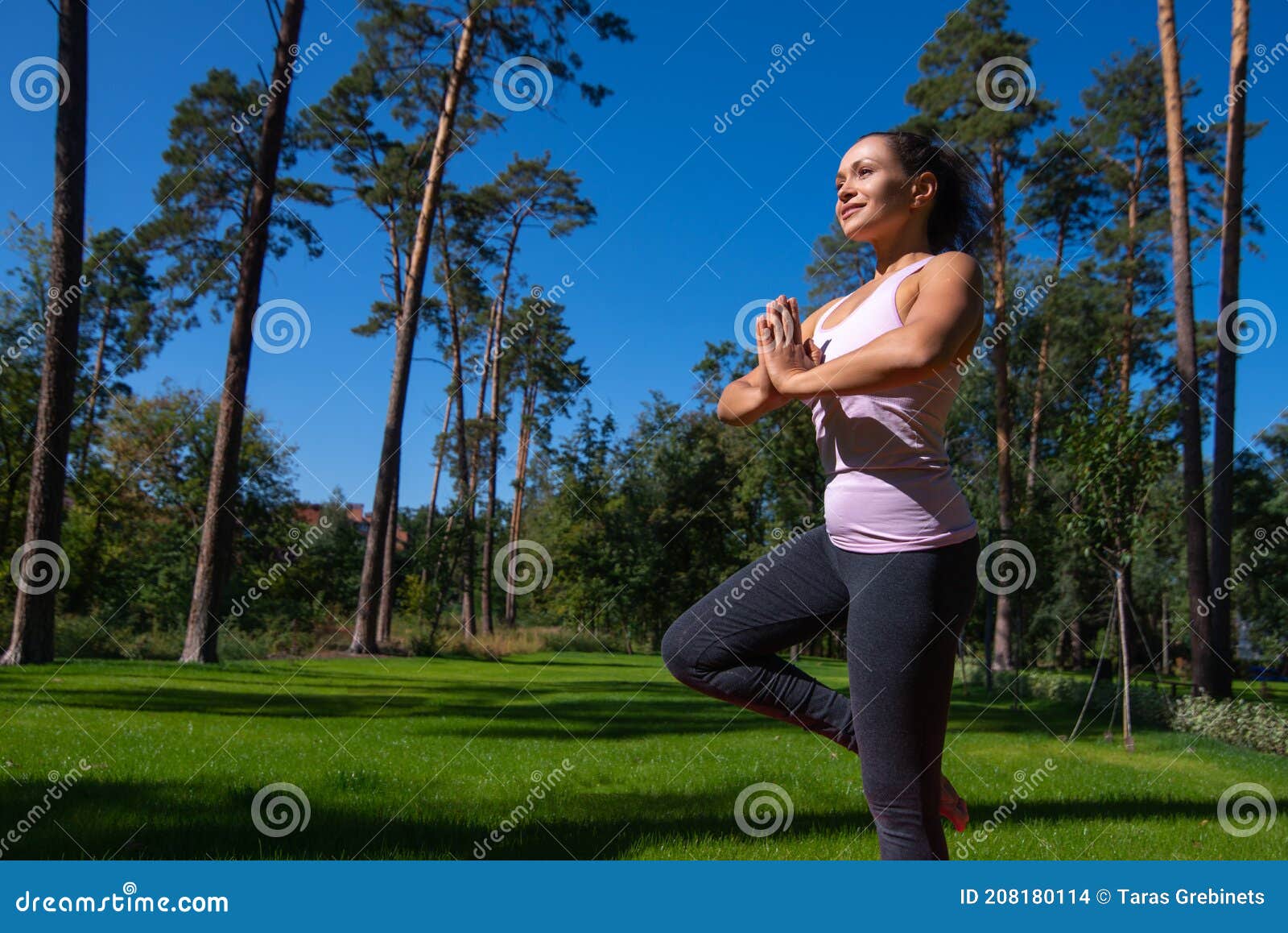 yoga balance vriksha-asana the tree pose