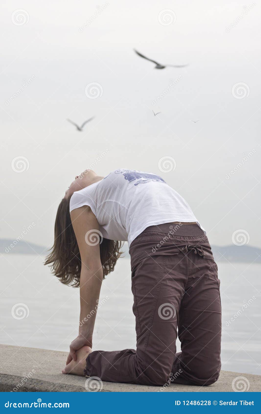 Yoga and birds stock photo. Image of meditation, position 12486228