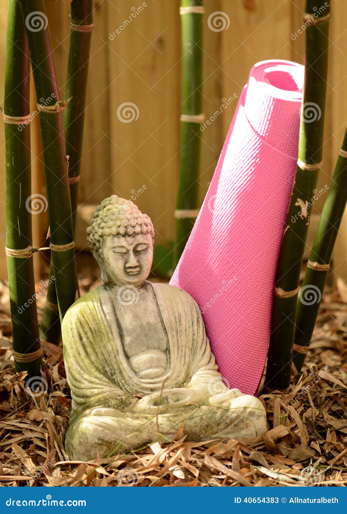 Download Yoga and buddha stock image. Image of meditate, thailand ...