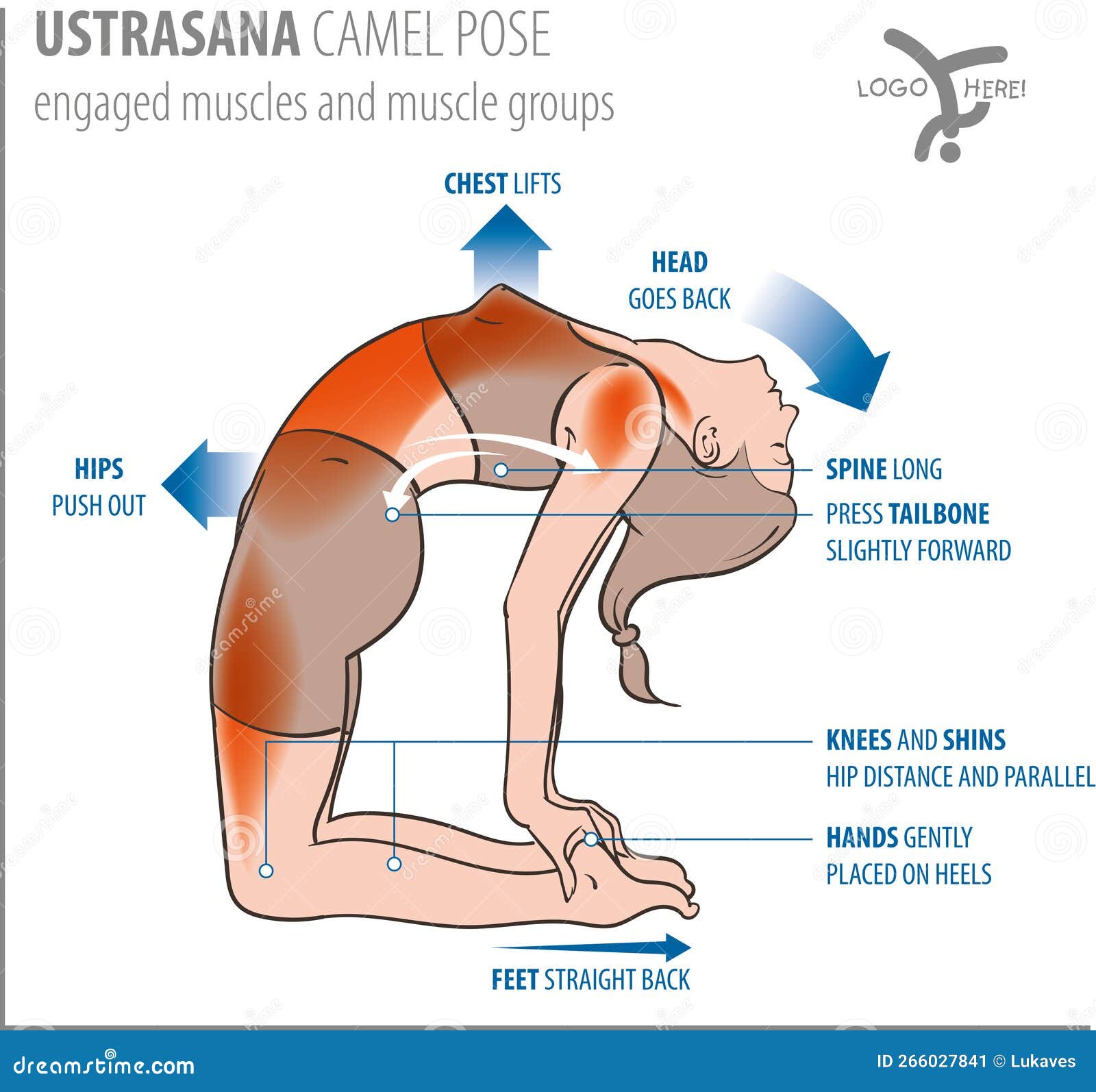 Ustrasana: Camel Pose 101 - Zuda Yoga