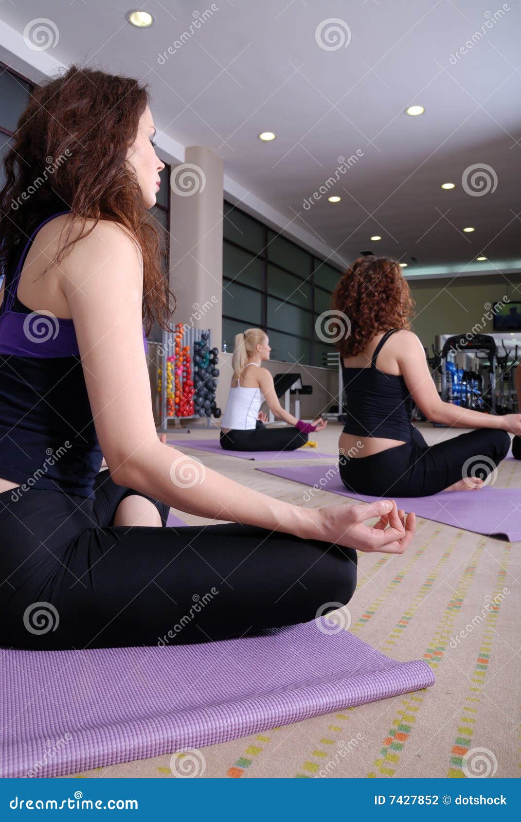 Yoga exercise. Group of girl exercising yoga in fitness club