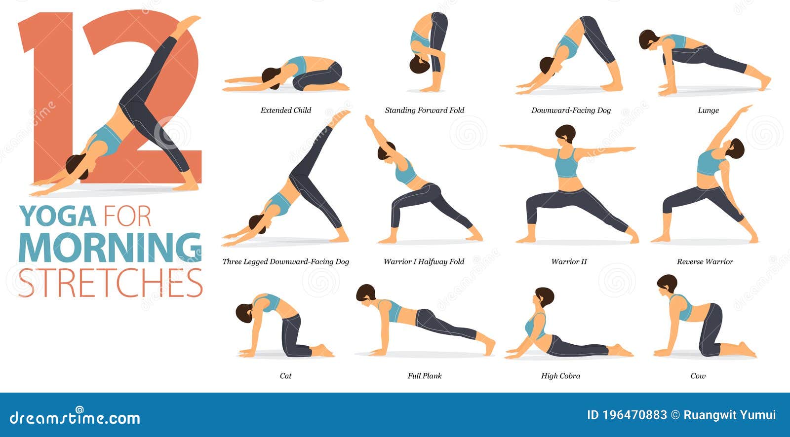 what are the 12 basic yoga postures