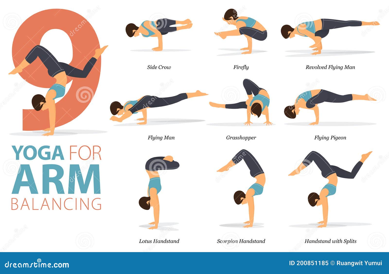 9 Yoga Poses or Asana Posture for Workout in Arm Balance Concept