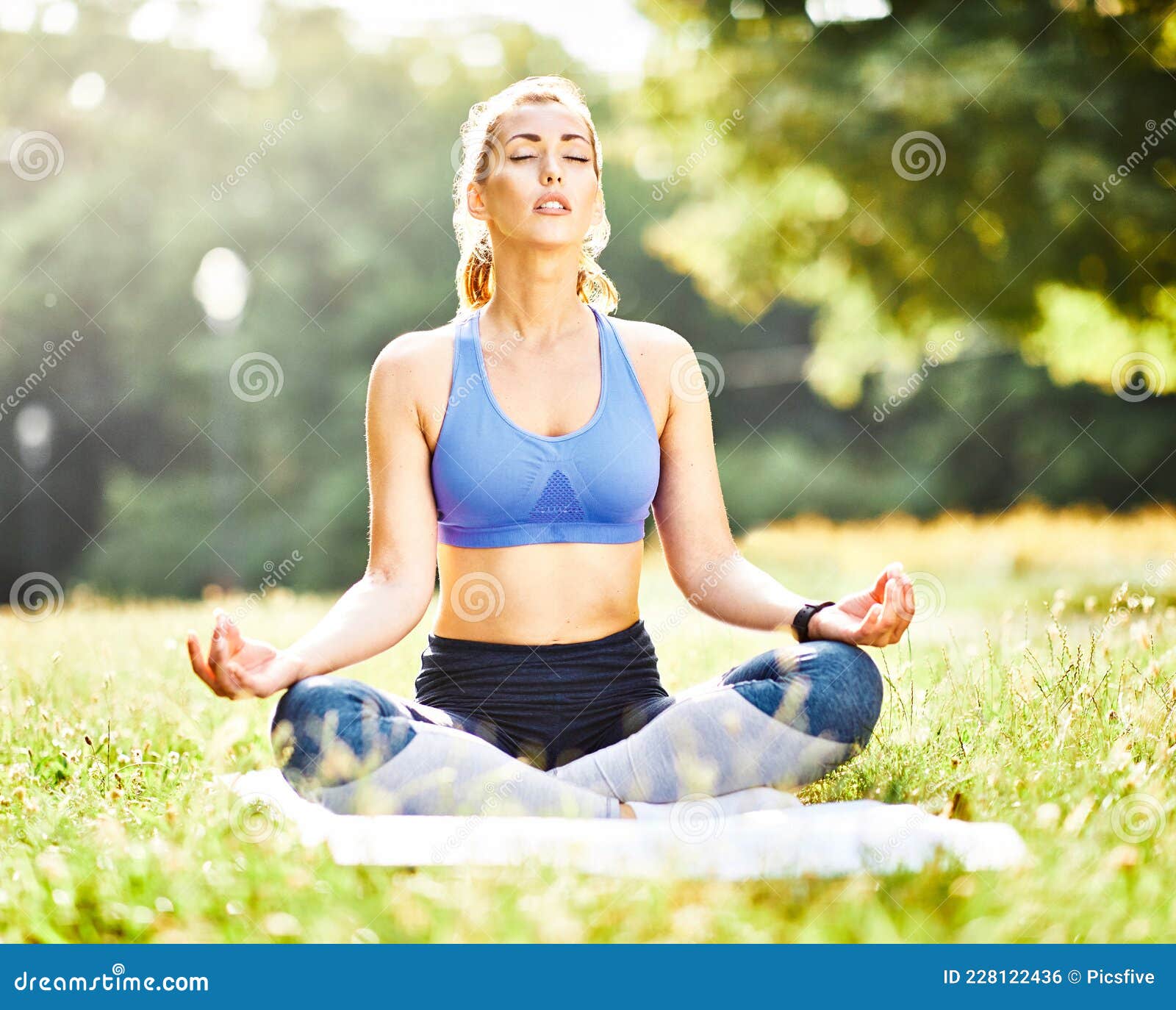 Yoga Parc De Femmes Mode De Vie Extérieur Nature Santé Forme Sport Santé  Exercice De Santé Détente Photo stock - Image du énergie, méditez: 228122436