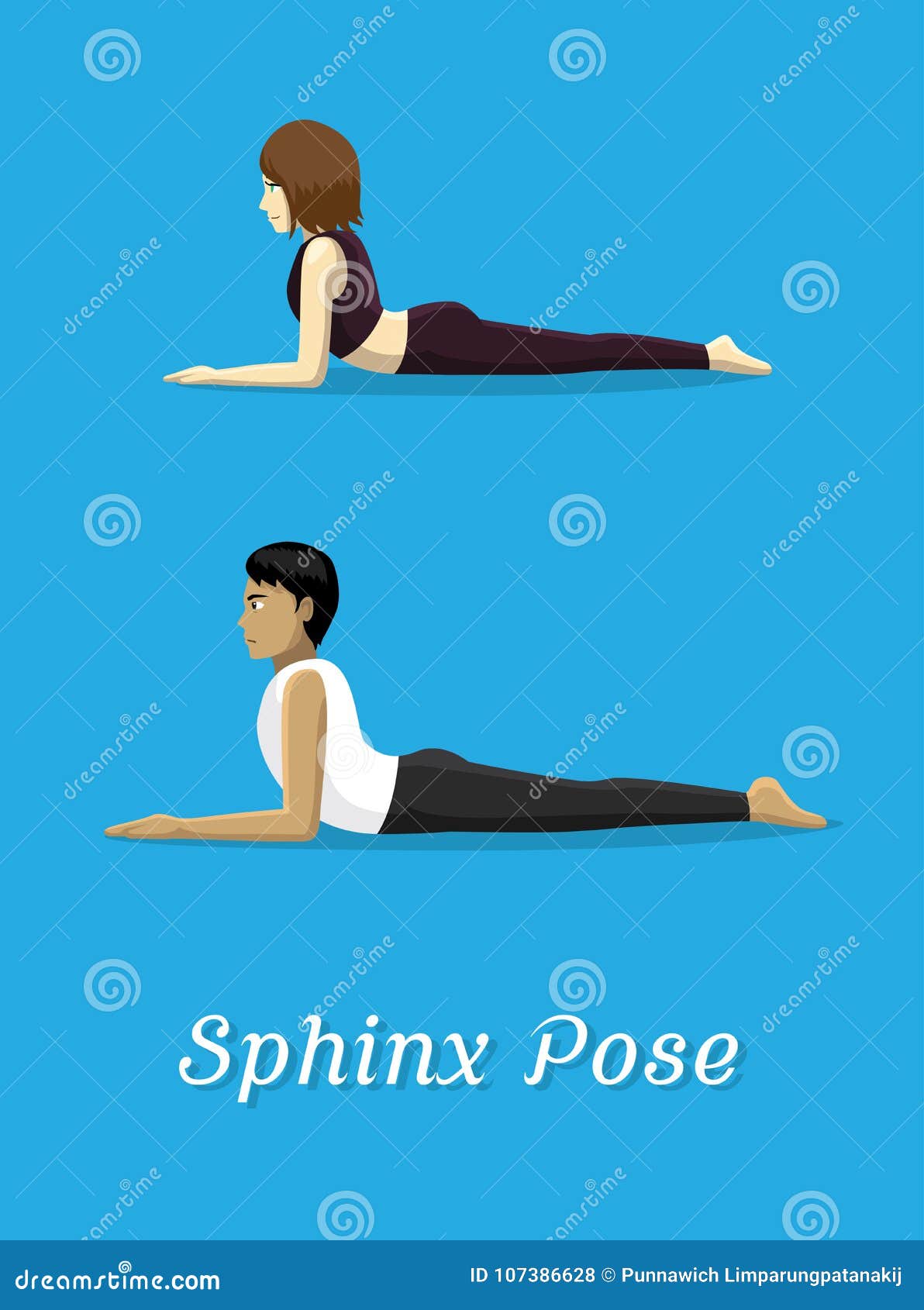How to Do Sphinx Pose in Yoga – EverydayYoga.com