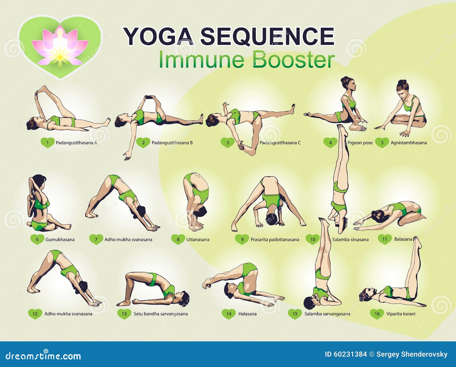 YOGA Sequence - Immune Booster Stock Vector - Image: 60231384