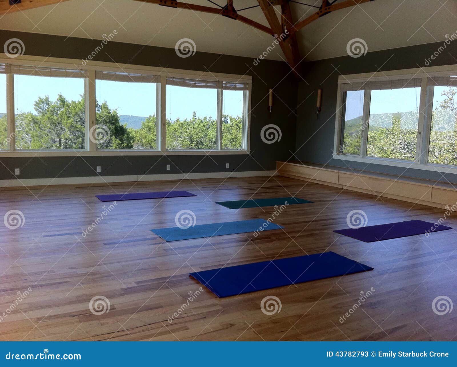 Yoga Mats In A Studio Classroom With Wood Floors Stock Image
