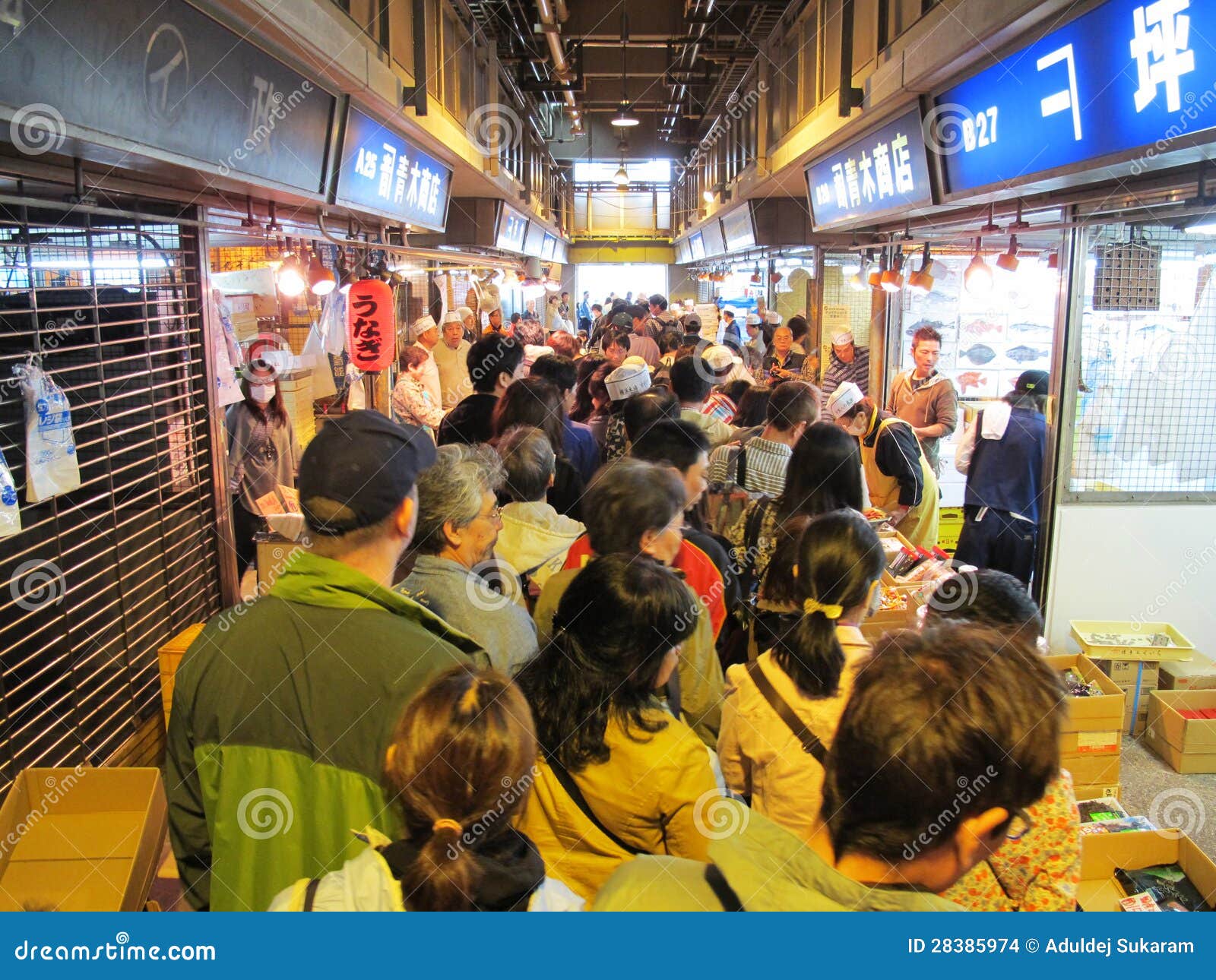 Yokohama Fish Market Japan editorial stock image. Image of fish 28385974