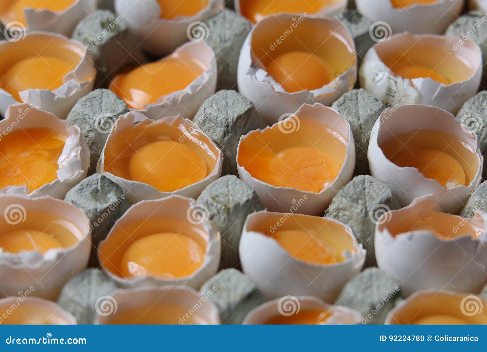 Yolks in a carton of eggs stock photo. Image of groceries 92224780