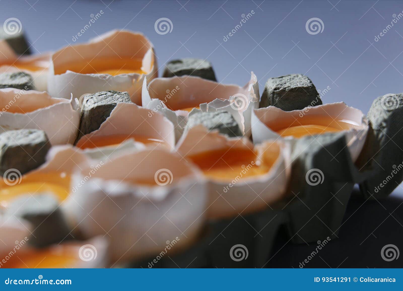 Yolks in a carton of eggs stock image. Image of brown 93541291