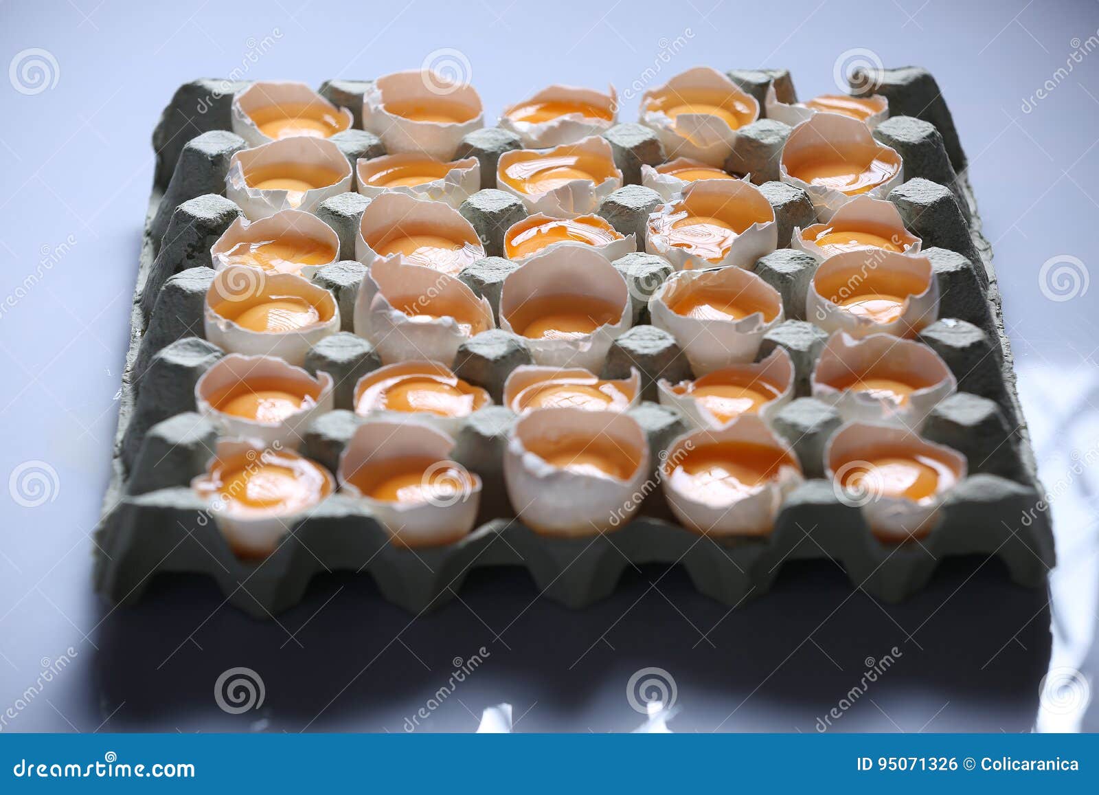Yolks in a carton of eggs stock photo. Image of form 95071326