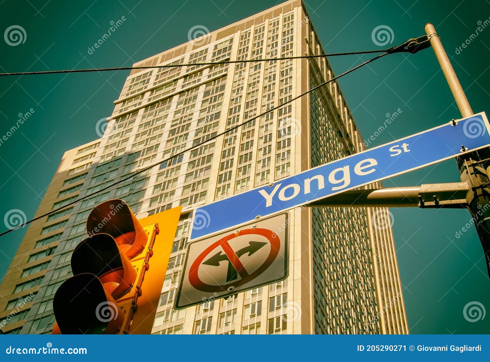 yonge street sign with buildings in background