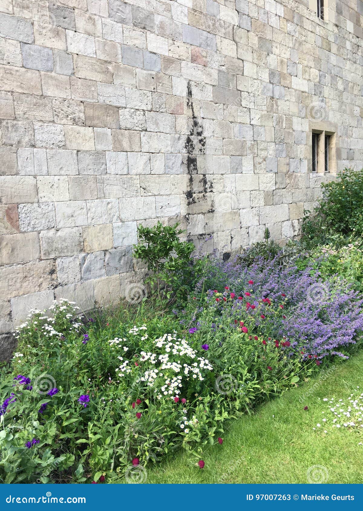 York stock image. Image of cathedral, york, flowers, sunny 97007263