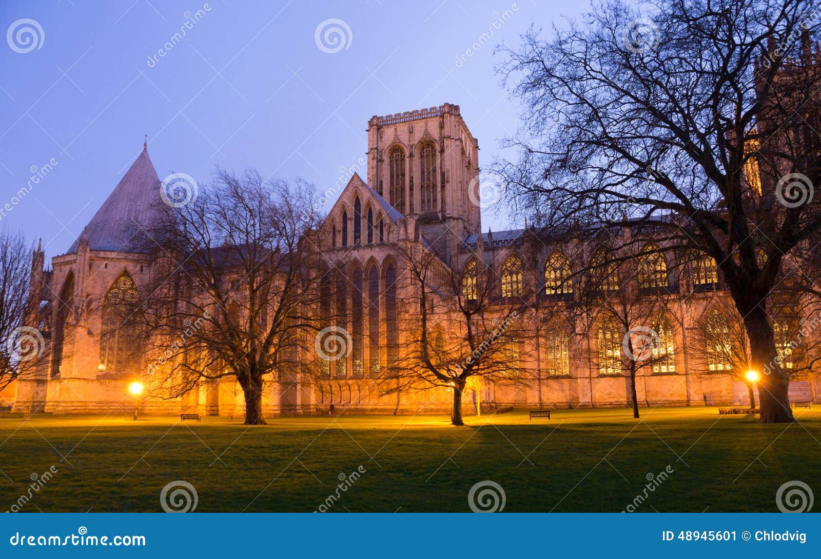 york minster cathedral park at night
