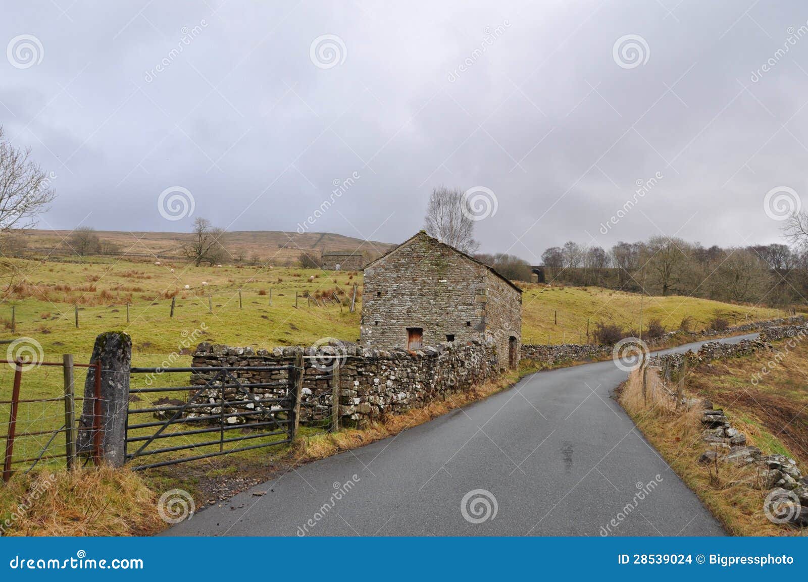 Yorkshire湖地区cowgill 库存照片. 图片 包括有 石头, 绵羊, 牧羊人, 山谷, 冬天 28539024