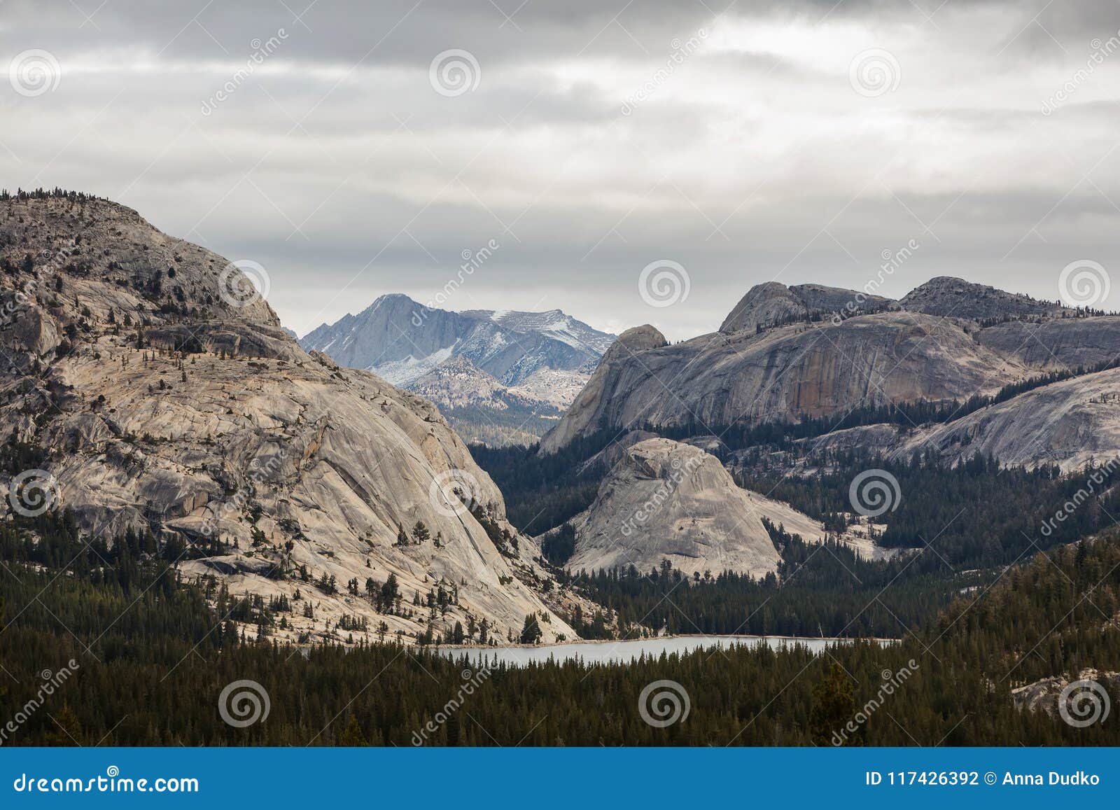 yosemite national park in californa