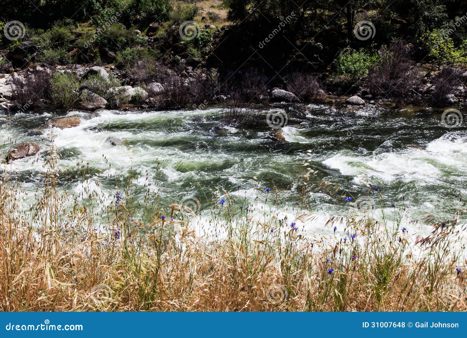 yosemite river and flowers