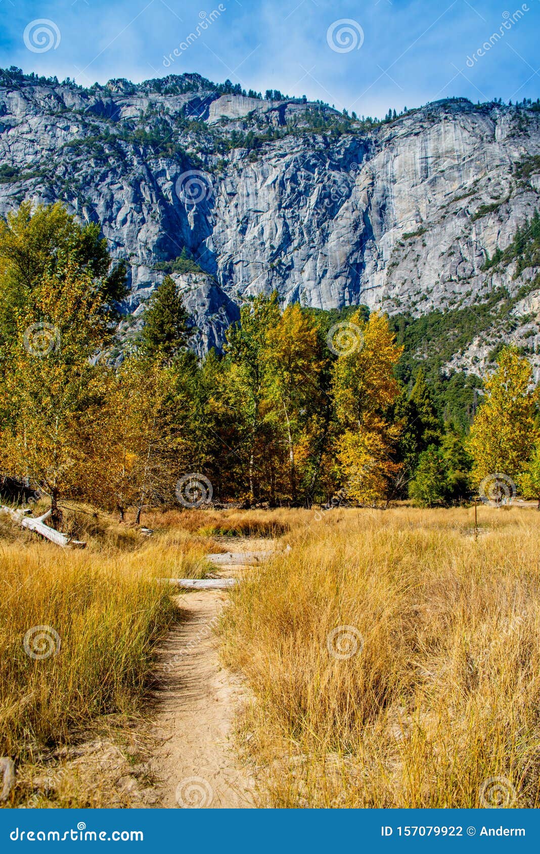 Yosemite Valley Yosemite National Park California Usa Stock Photo