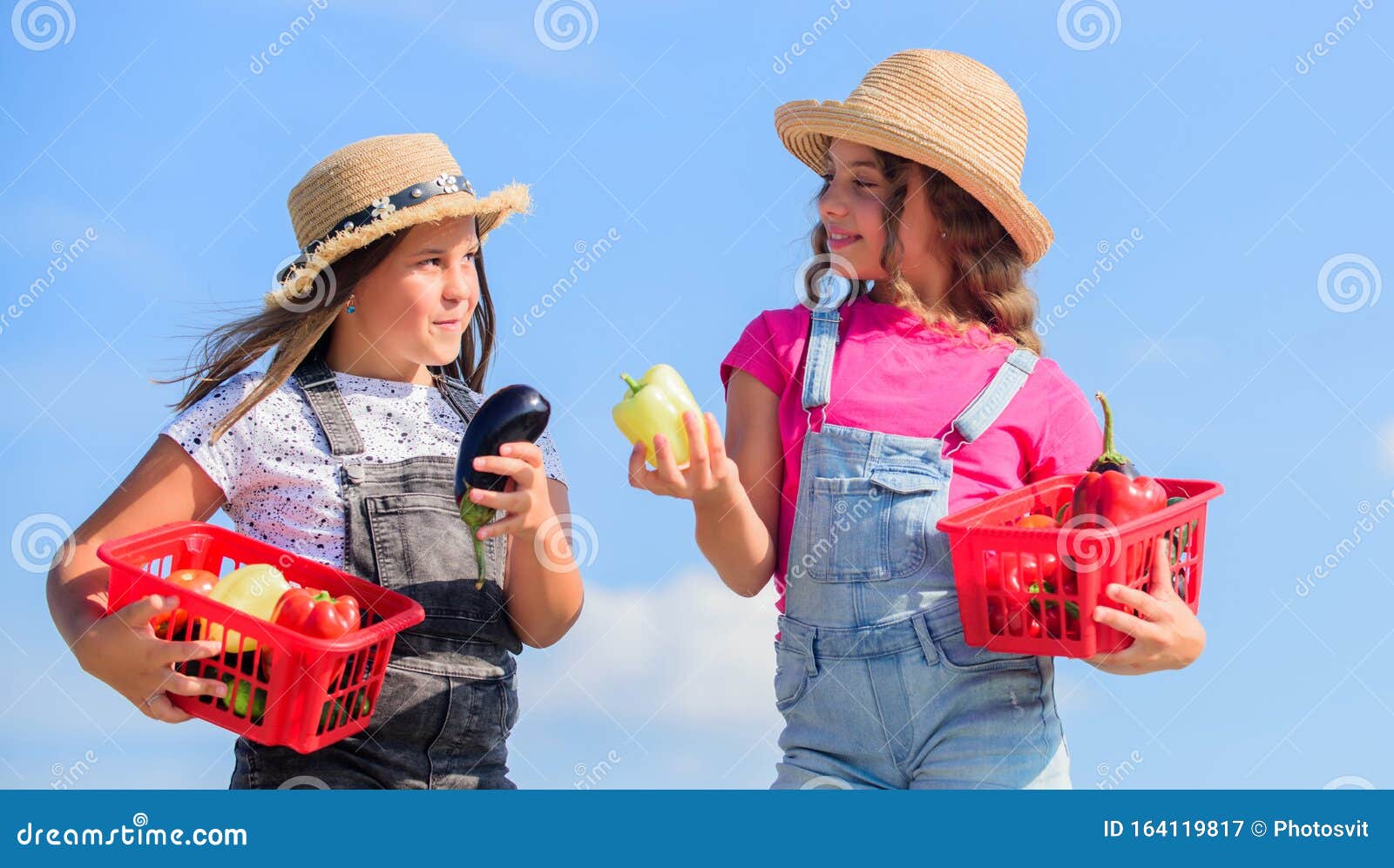 Harvest Healthy Life Harvest Healthy Life