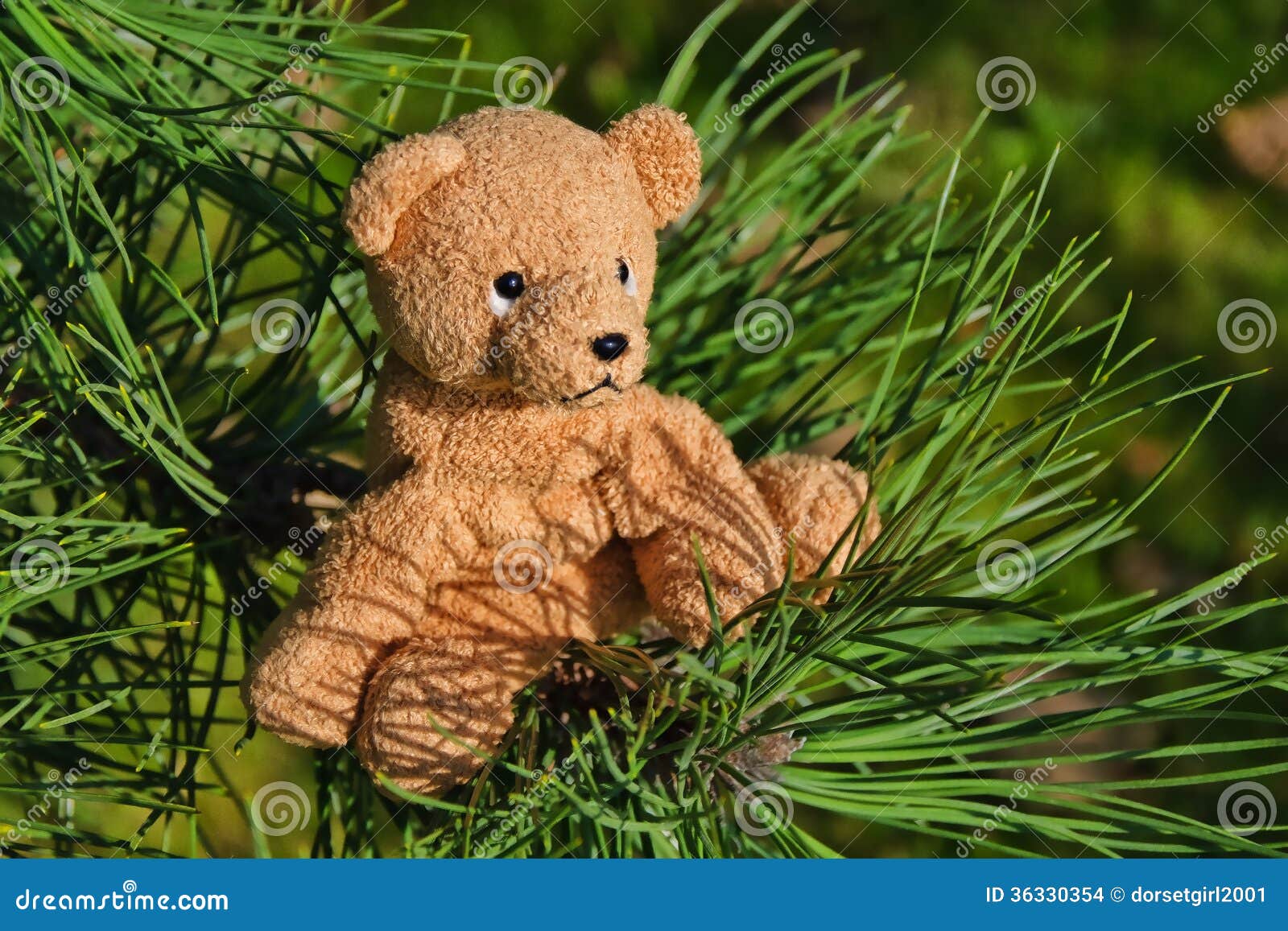 are you sure bears